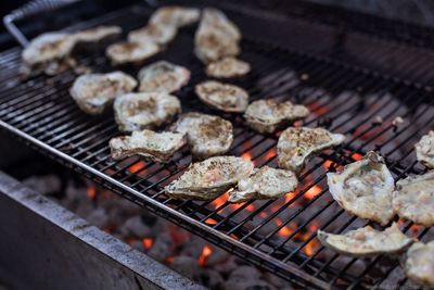 Close-up of oysters on barbecue grill