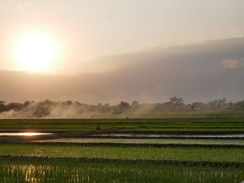 Scenic view of field against sky during sunset