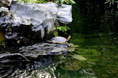 High angle view of rocks in water
