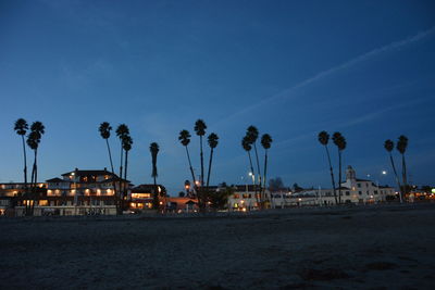 Palm trees against blue sky