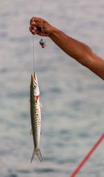 Cropped hand holding fish against sea