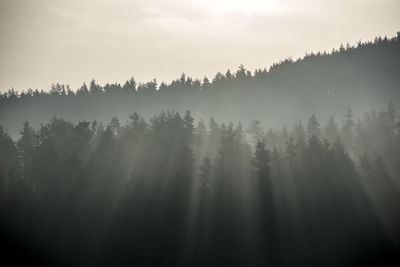 Scenic view of landscape against sky during foggy weather