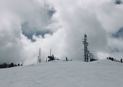 Cranes on snow covered land against sky