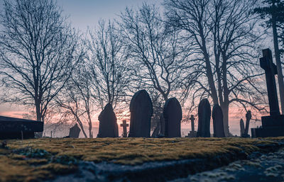 Bare trees in cemetery against sky at sunset