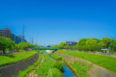 Scenic view of field against clear blue sky