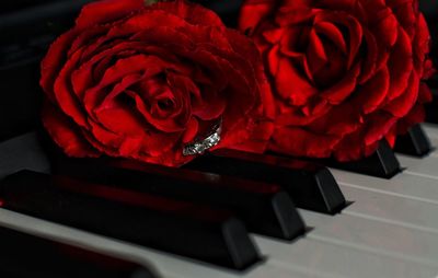 Close-up of red rose on table