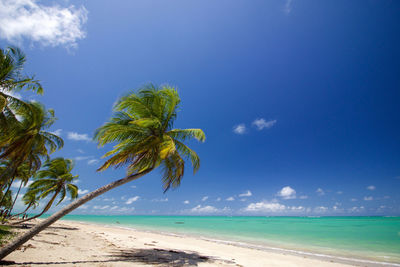 Scenic view of sea against blue sky