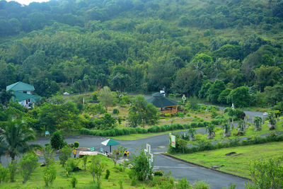 High angle view of houses along trees