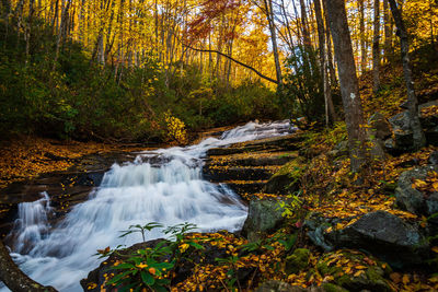 Scenic view of waterfall in forest during autumn