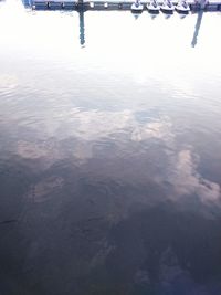 Reflection of trees in water