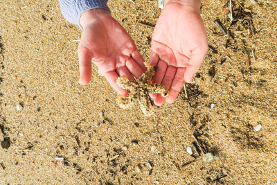 Close-up of hands on sand