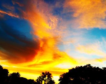 Low angle view of silhouette trees against sky during sunset