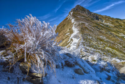 Scenic view of snowcapped mountains against blue sky