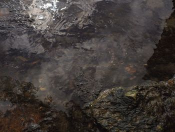 High angle view of rocks in sea