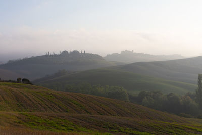 Scenic view of agricultural field against sky