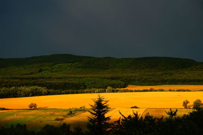 Scenic view of field against clear sky