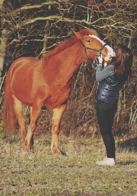 animal themes, full length, field, one animal, grass, livestock, domestic animals, standing, horse, mammal, brown, side view, outdoors, day, casual clothing, two animals, working animal, lifestyles