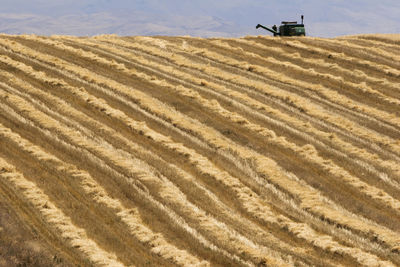 High angle view of agricultural field