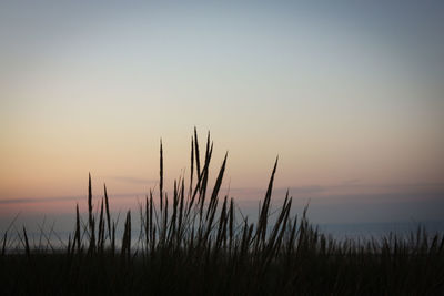 Scenic view of silhouette field against sky during sunset