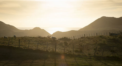 Scenic view of landscape against sky during sunset