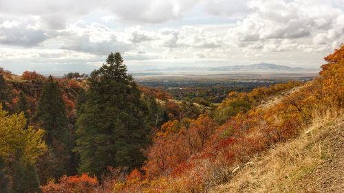 Scenic view of landscape against sky during autumn