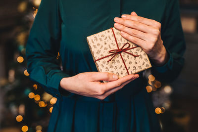 Midsection of person holding christmas tree