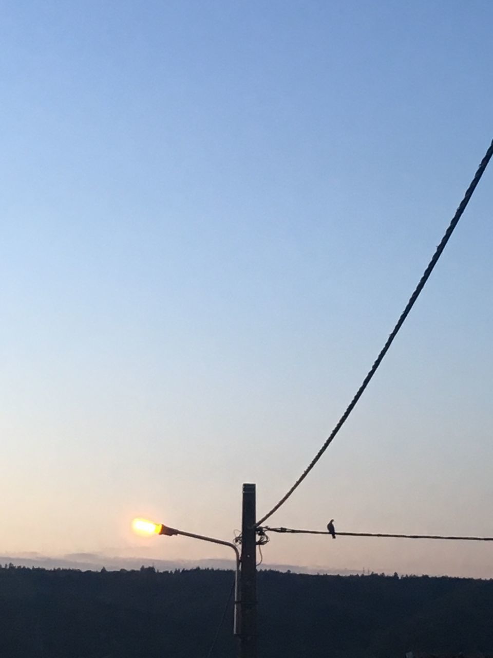 LOW ANGLE VIEW OF SILHOUETTE STREET LIGHT AGAINST CLEAR SKY