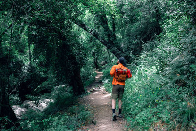 Rear view of man standing by trees in forest
