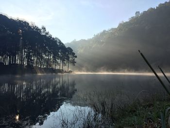 Scenic view of lake by trees against sky