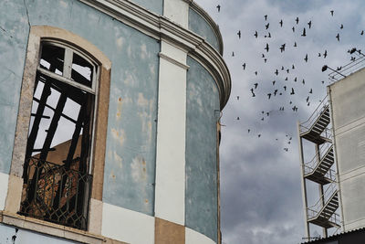 Low angle view of birds flying against sky