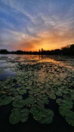 Scenic view of lake against sky during sunset