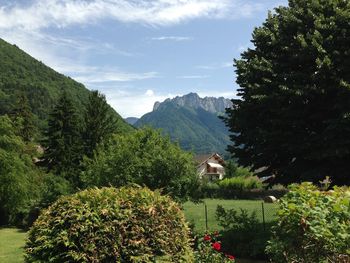 Trees and plants growing on mountain against sky