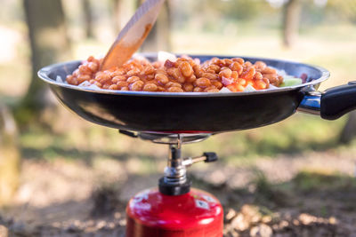 Close-up of strawberries on barbecue grill