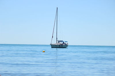 Sailboat sailing in sea against clear sky