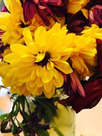 Close-up of yellow flowers blooming outdoors