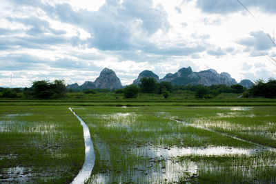 Scenic view of landscape against sky