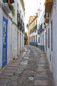 Narrow alley amidst buildings in town