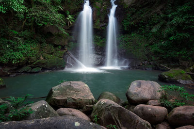 Scenic view of waterfall in forest