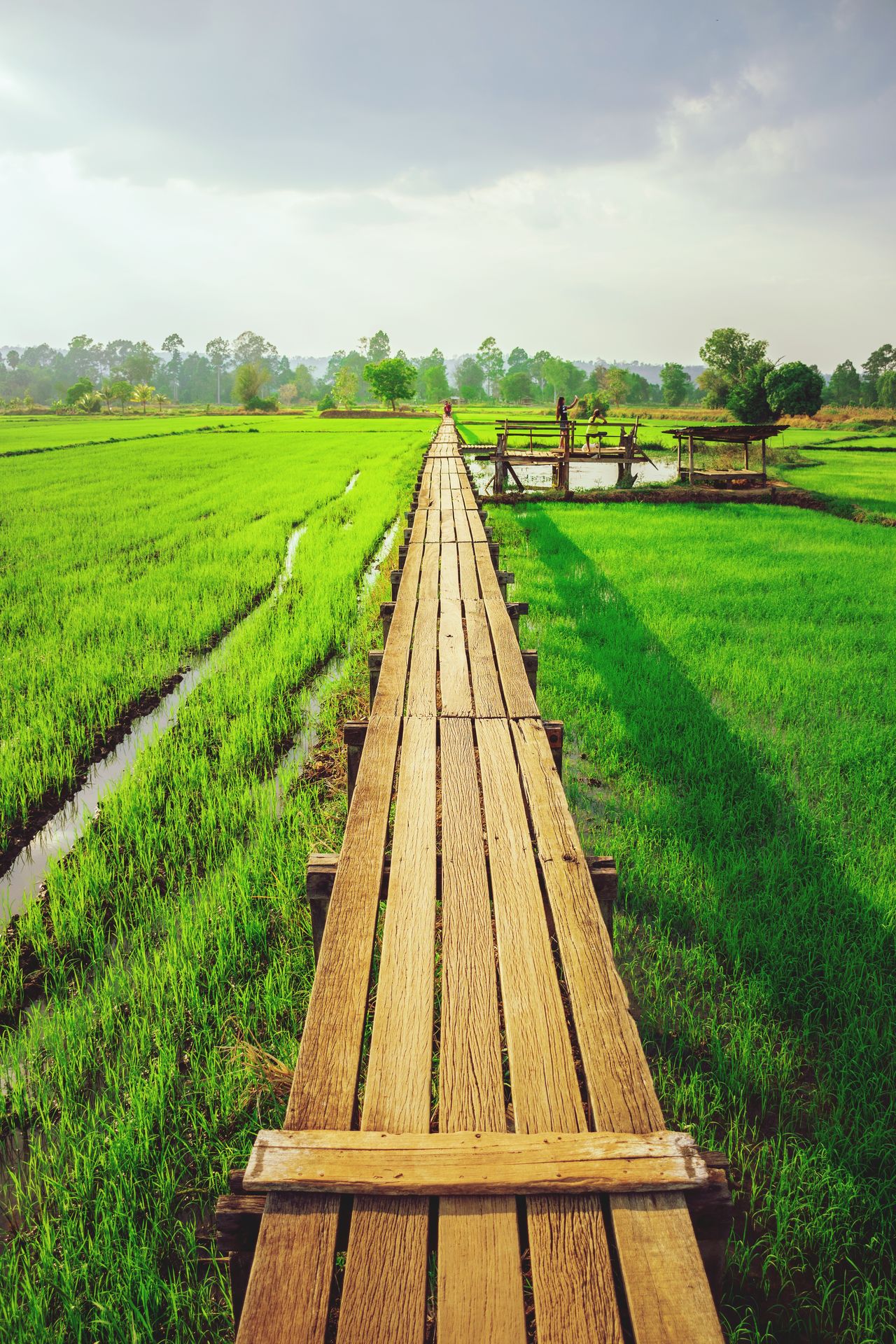 Wood bridge rail background