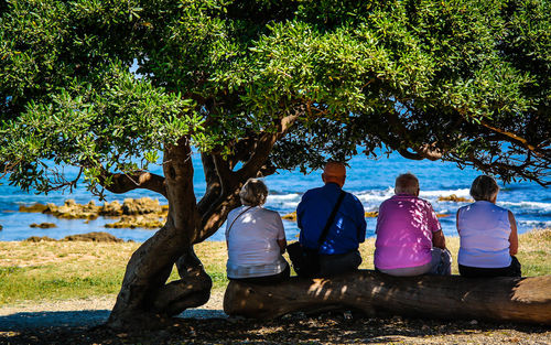 Rear view of people sitting on fallen tree trunk by sea