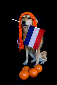 Portrait of woman with dog against black background