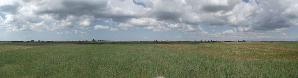 Panoramic view of field against sky