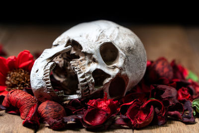 Close-up of red roses on table