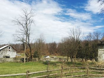 Bare trees and buildings against sky