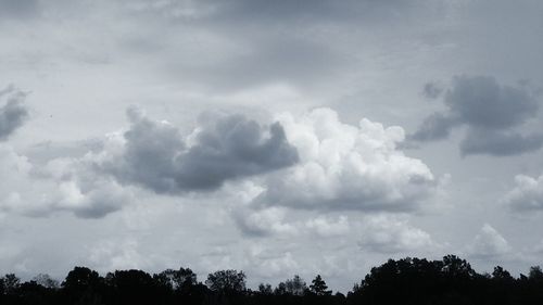 Low angle view of trees against cloudy sky