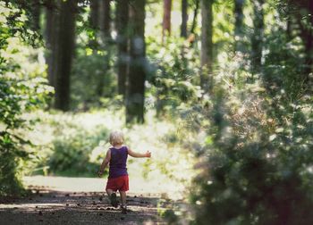 Rear view of boy walking in forest