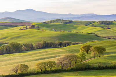 Scenic view of agricultural field against sky