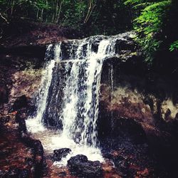 View of waterfall in forest