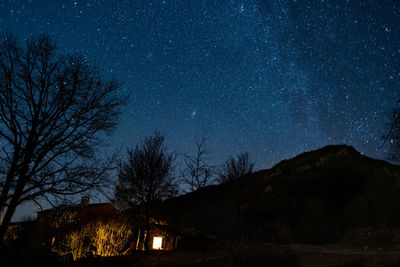 Low angle view of tree against sky at night