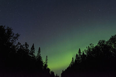 Low angle view of silhouette trees against sky at night